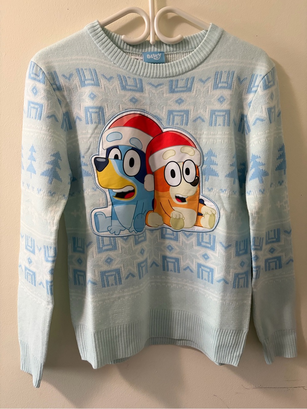 Light Blue Bluey Holiday Crewneck Sweater Women’s X-small XS
